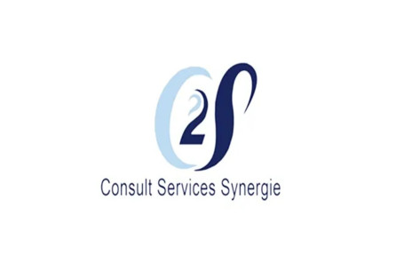 Consult Services Synergie recrute 