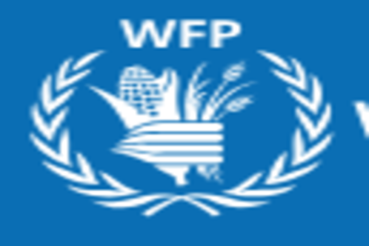 World Food Programme recrute: National Consultant Specialist in Health Nutrition (Programme Policy)