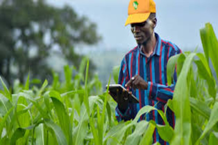 Recrutement : Ingénieur Agronome/Chargé Recherche et Développement (H/F)