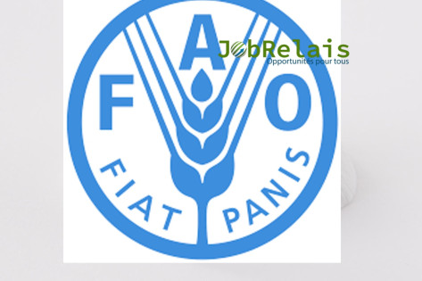 FAO-Togo recrute pour (4) Postes