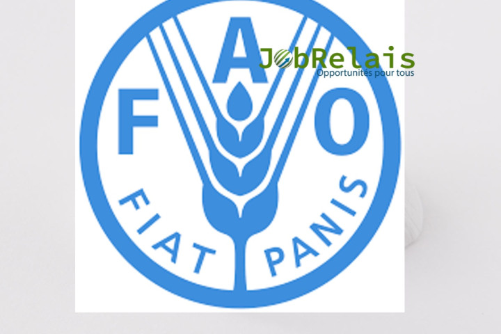 FAO-Togo recrute pour (4) Postes
