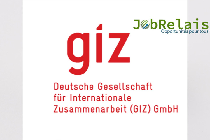 Avis d'appel d'offre de la  GIZ