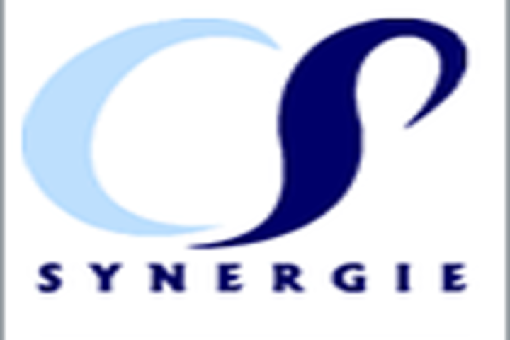 Consult Services Synergie recrute