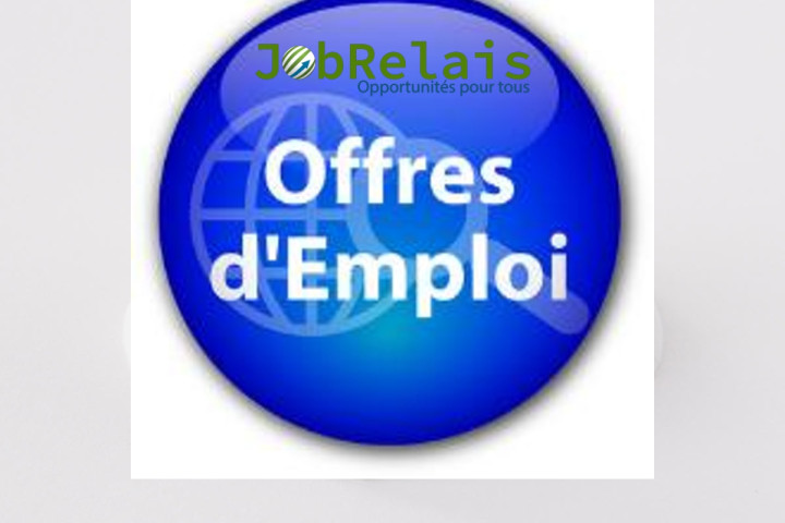 L’Agence Nationale du Volontariat au Togo (ANVT) recrute