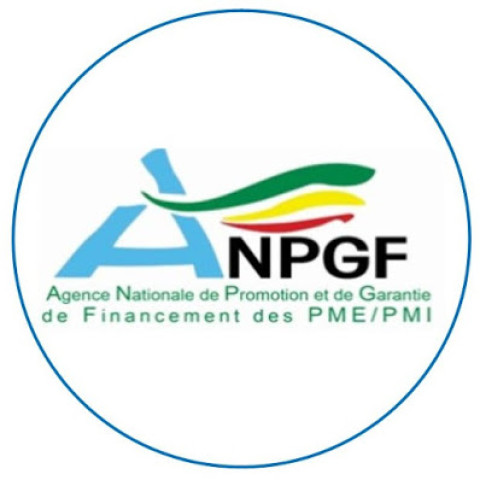 L'ANGPF lance un concours de prix pour jeunes entrepreneurs togolais