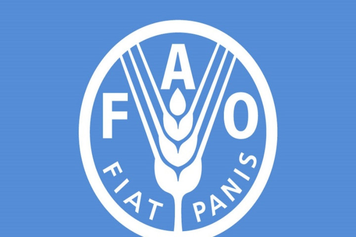FAO recrute (03) Consultants Nationaux  au Togo (H/F)