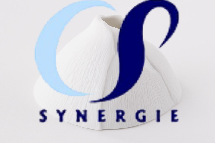 Consult Services Synergie recrute