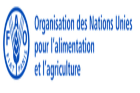 Programme de stages FAO 2026 – Afrique (RAF)   Appel à manifestation d’intérêt pour jeunes talents