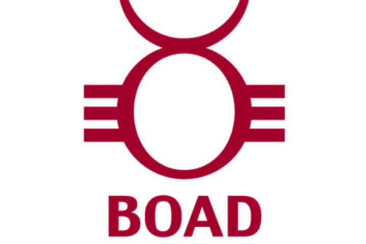 BOAD recrute: Consultant