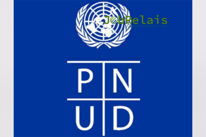 Appel d’offres du PNUD