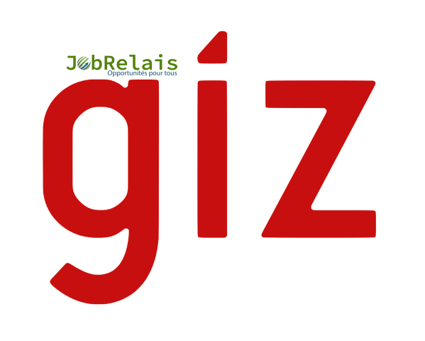 LA GIZ recrute  un consultant