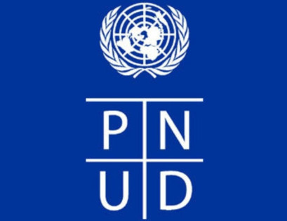 PNUD recrute plusieurs étudiants pour stage