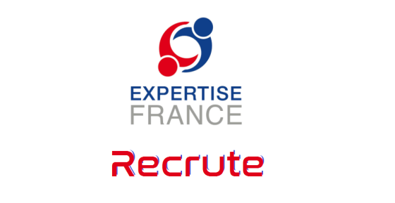 EXPERTISE FRANCE recrute: Coordinateur du projet (H/F)