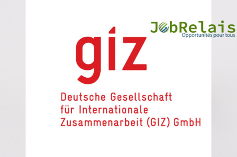 GIZ recrute