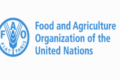 La FAO   recrute