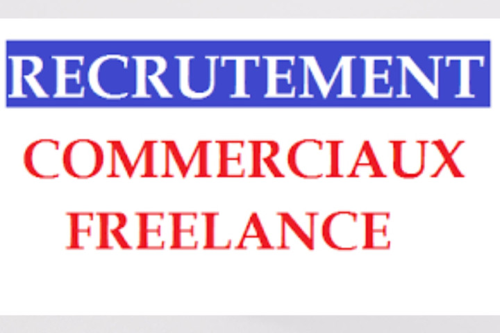 Recrutement :  Commerciaux Freelance (02)