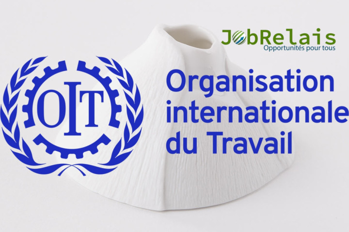 L'Organisation Internationale du travail (OIT) recrute pour (3) postes