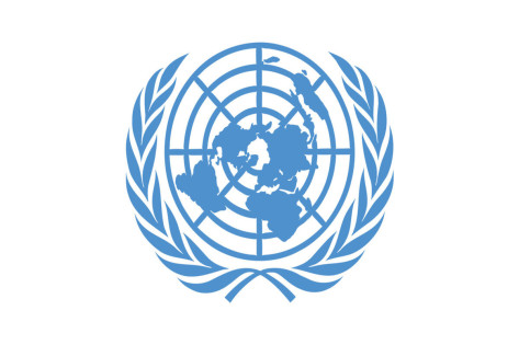 Recrutement d'un (01) Traducteur (trice) de Terrain pour une mission des  Nations Unies