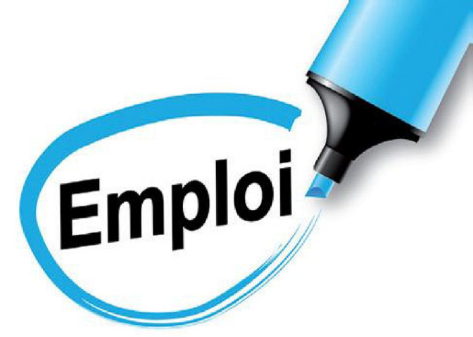 Urgent : PNUD Recrute un assistant