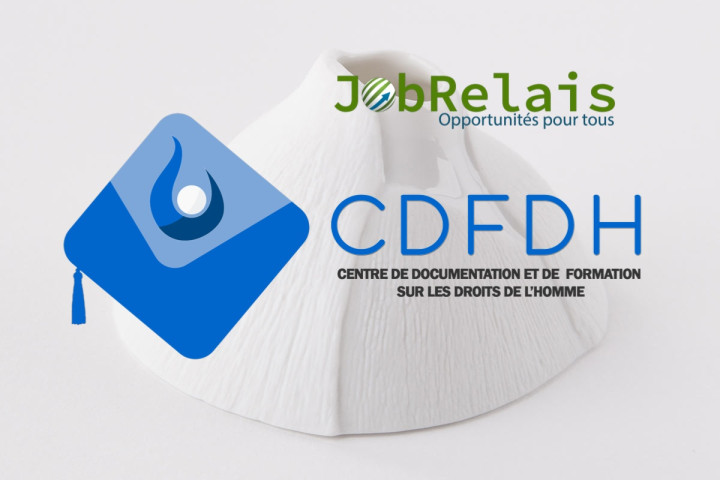 CDFDH recrute