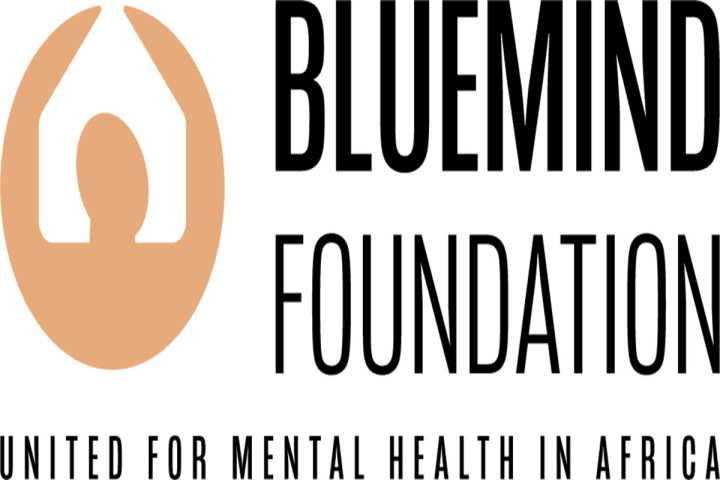 La Bluemind Foundation recrute