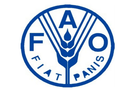 FAO Togo  recrute