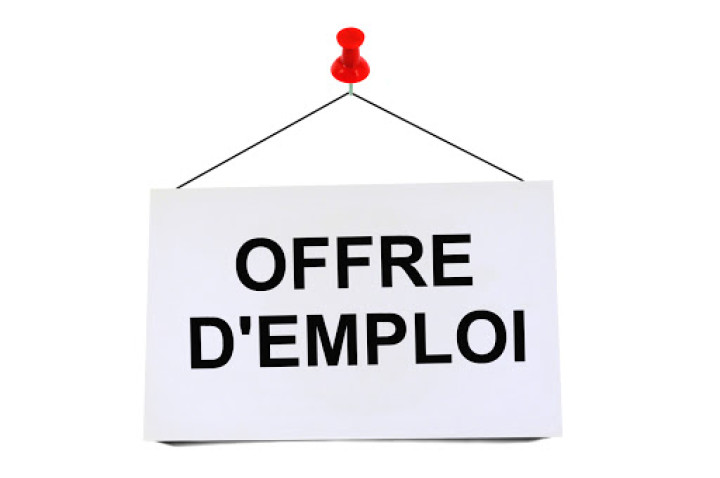 CERME de l’Université de Lomé recrute