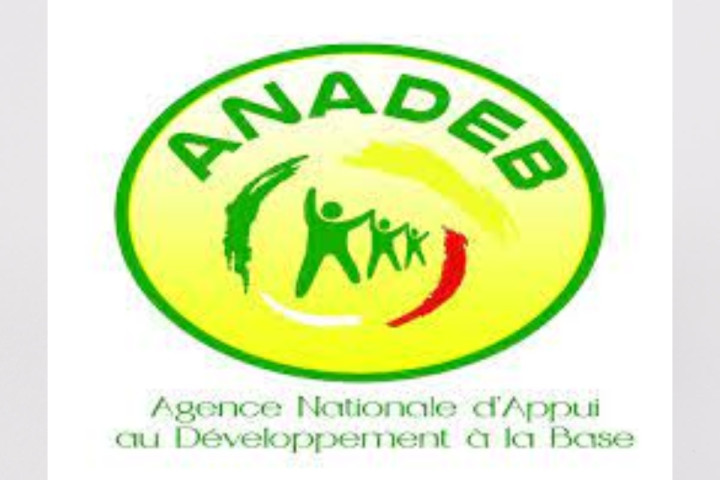 Appel à manifestation d'intérêt d'ANADEB