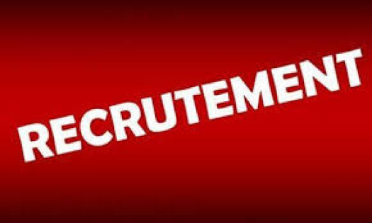 Le Cabinet Togo INTERIM Recrute pour deux (02) postes