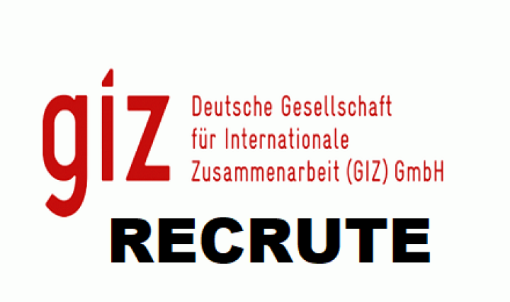 La GIZ Recrute