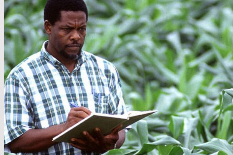 Une entreprise au Bénin recrute un  INGENIEUR EN AGRONOMIE (H/F)