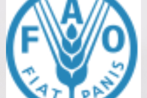 FAO Nigeria recrute un CHAUFFEUR