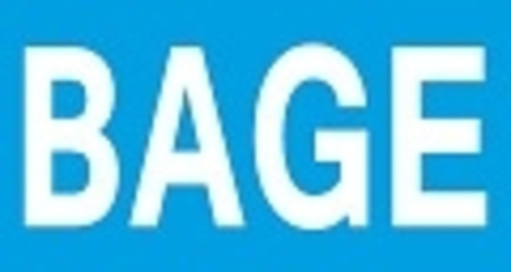 Cabinet BAGE SARL recrute pour une ONG