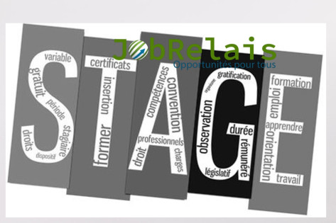 OFFRE DE STAGE
