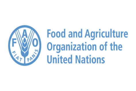 FAO recrute