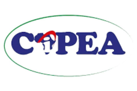 Le centre Interafricain pour la Promotion Economique et les Affaires (CIPEA) recrute (02 postes)