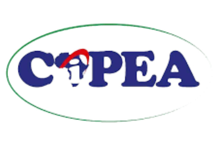 Le centre Interafricain pour la Promotion Economique et les Affaires (CIPEA) recrute (02 postes)