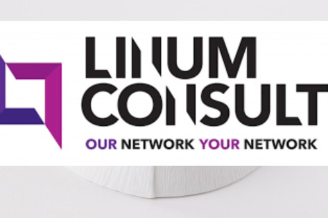 Linum Consult recrute