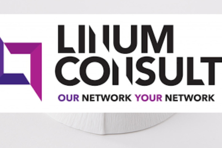 Linum Consult recrute