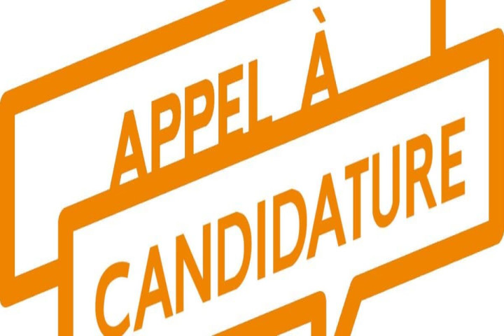 Recrutement :Chauffeur professionnel
