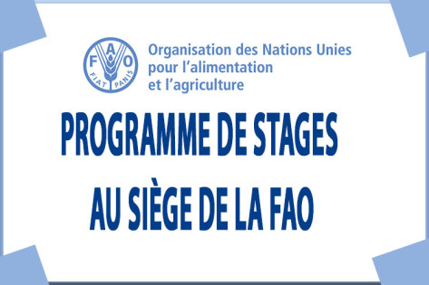 FAO - Programme de Stage