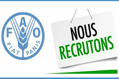 FAO recrute au Togo