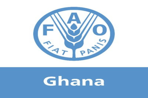 FAO Accra recrute: Associé aux ressources humaines (H/F)
