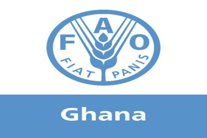 FAO Accra recrute: Associé aux ressources humaines (H/F)