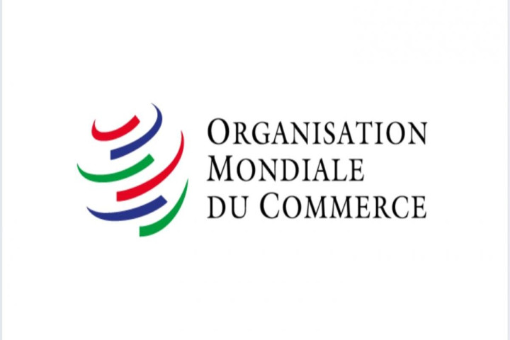 Programme des Jeunes professionnels de l’organisation Mondiale du Commerce pour 2025