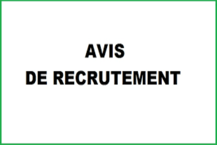 Offre d’Emploi : Chauffeur Catégorie B