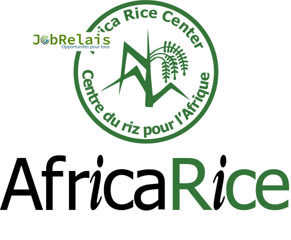 AFRICARICE recrute