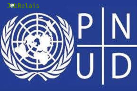 PNUD au Niger recrute des chauffeurs