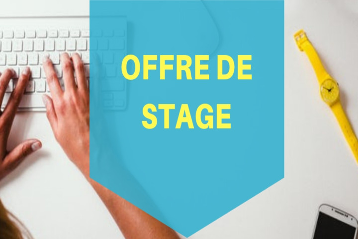 Offre de stage ITDA (Informaticien – Analyste de données)