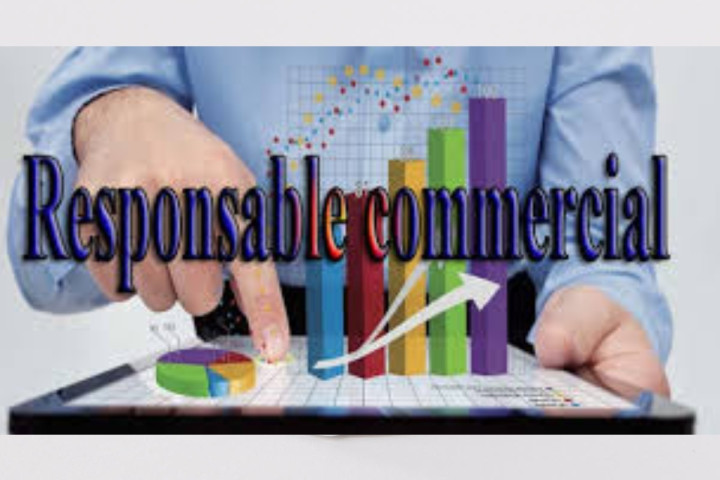 Recrutement d'un Responsable commercial
